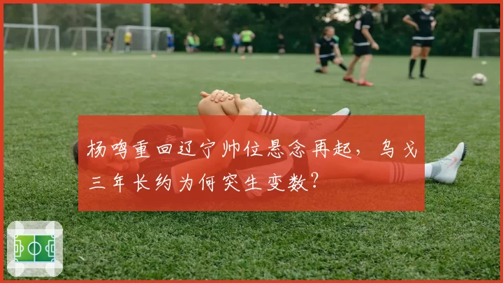 杨鸣重回辽宁帅位悬念再起,乌戈三年长约为何突生变数?