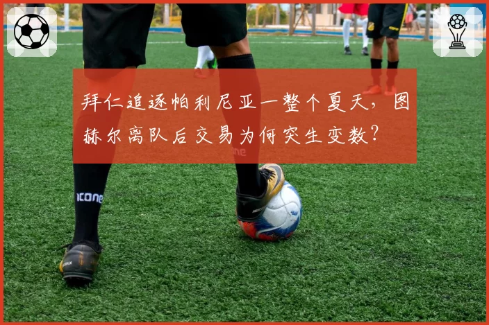 拜仁追逐帕利尼亚一整个夏天，图赫尔离队后交易为何突生变数？