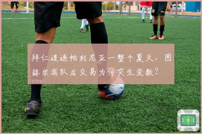 拜仁追逐帕利尼亚一整个夏天，图赫尔离队后交易为何突生变数？